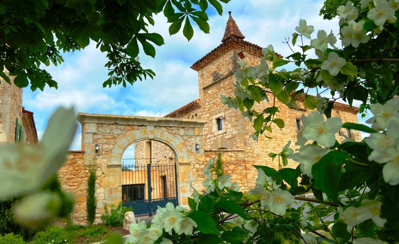 Domaine De Lejos - Portes D'albi *